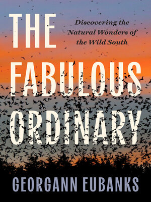 cover image of The Fabulous Ordinary